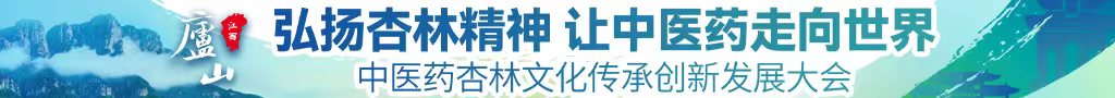 床上激情片白沫中医药杏林文化传承创新发展大会